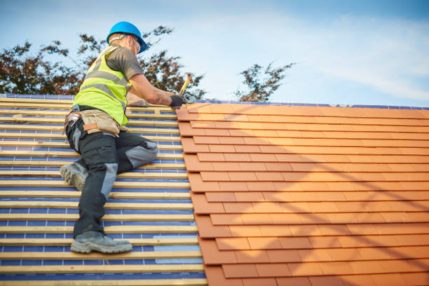 Best Roof Maintenance and Cleaning  in Williamstown, KY